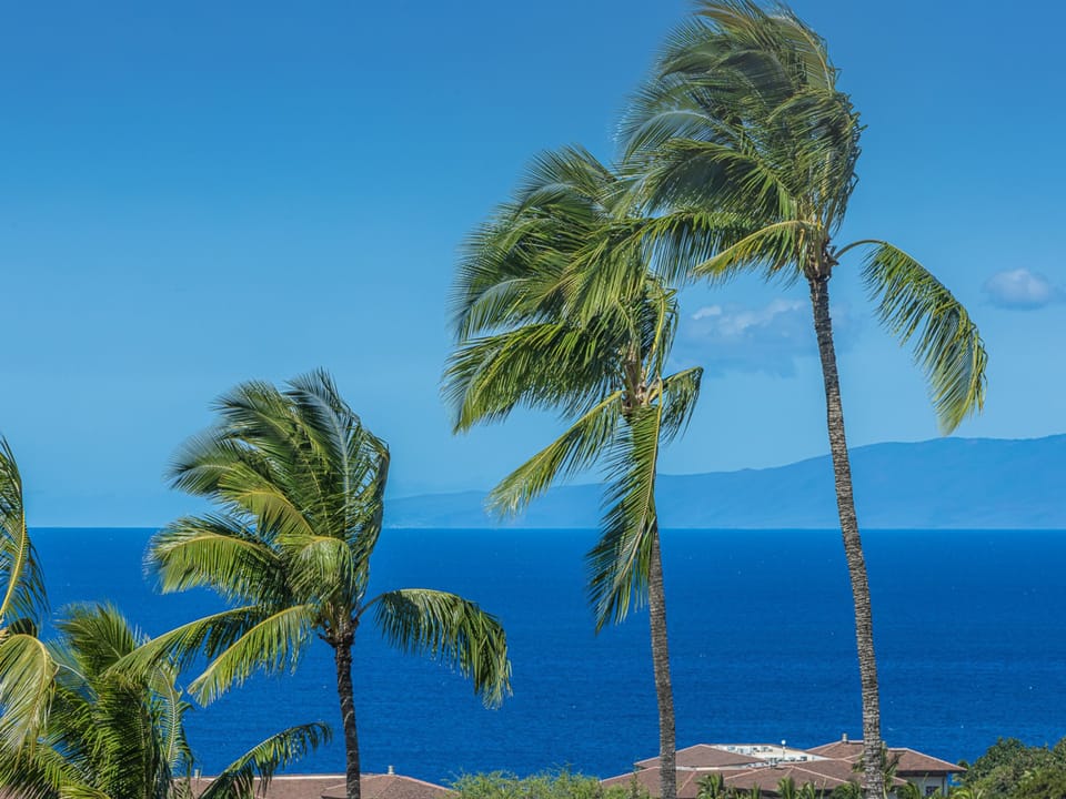 Swaying palm trees frame stunning ocean views with Kaho'olawe in the background creating a perfect tropical backdrop for relaxation.