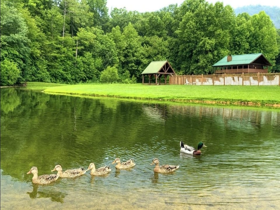 Nature