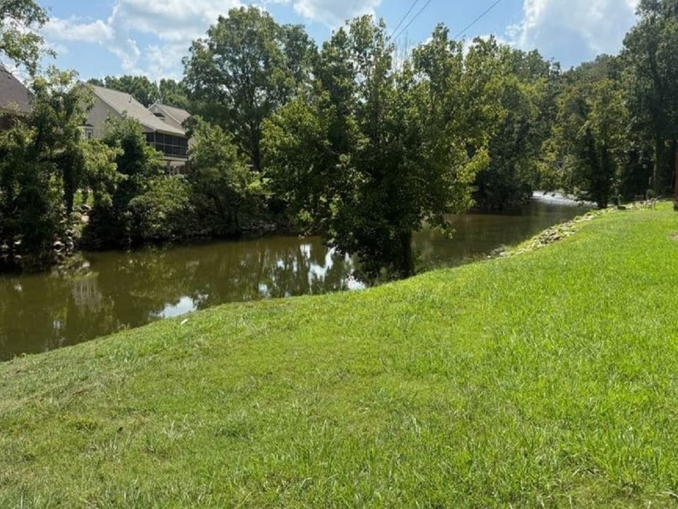 Grass