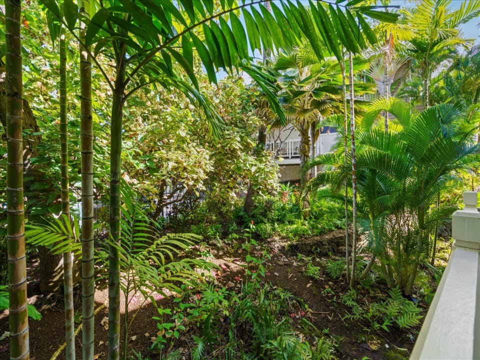 Outdoor dining on the lanai with tranquil tropical surroundings