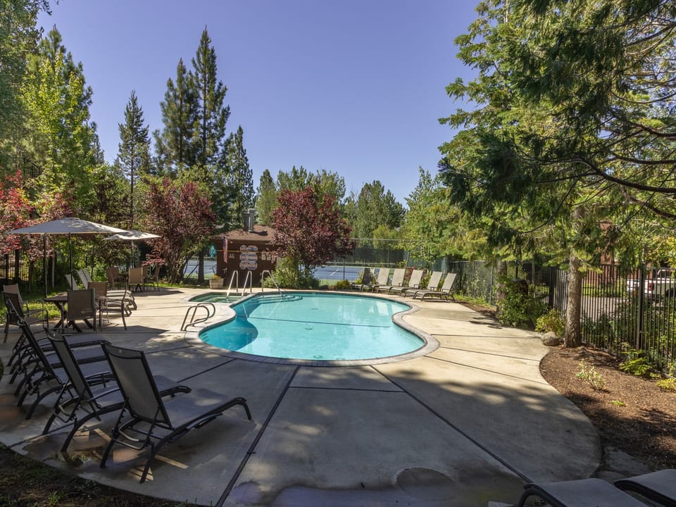 A refreshing pool nestled among towering pines, with plenty of lounge chairs for soaking up the sun and unwinding in nature's embrace.