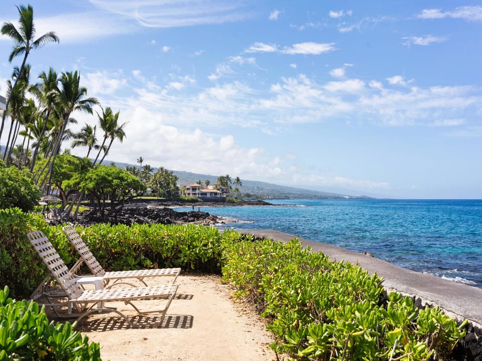 Pristine Hawaiian coastline with palm trees, turquoise waters, and mountain backdrop creates an idyllic tropical setting.