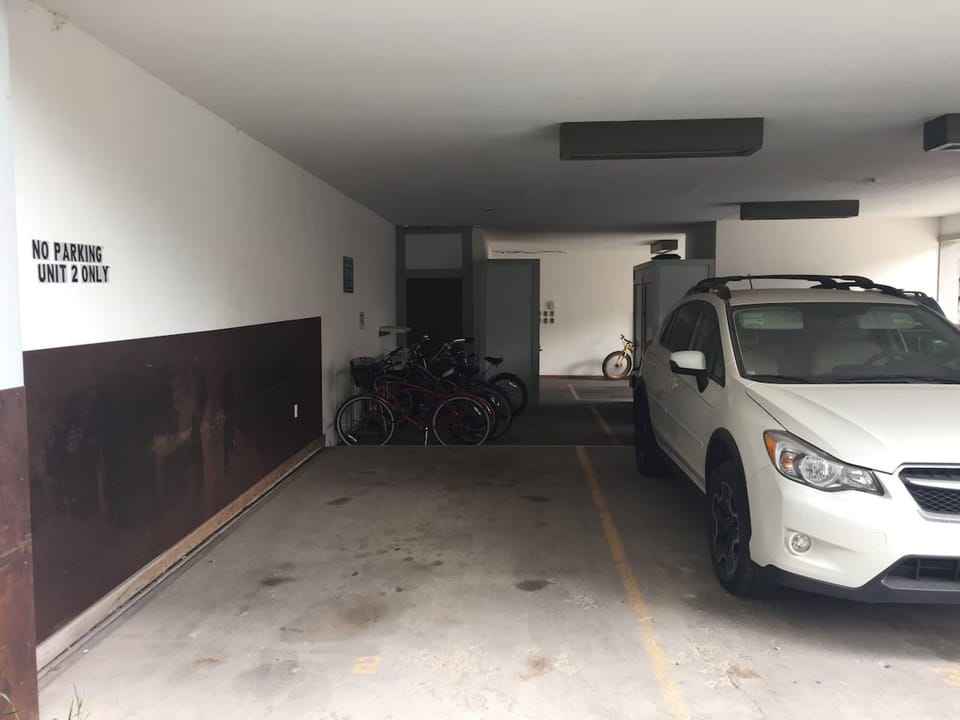Needle Parking