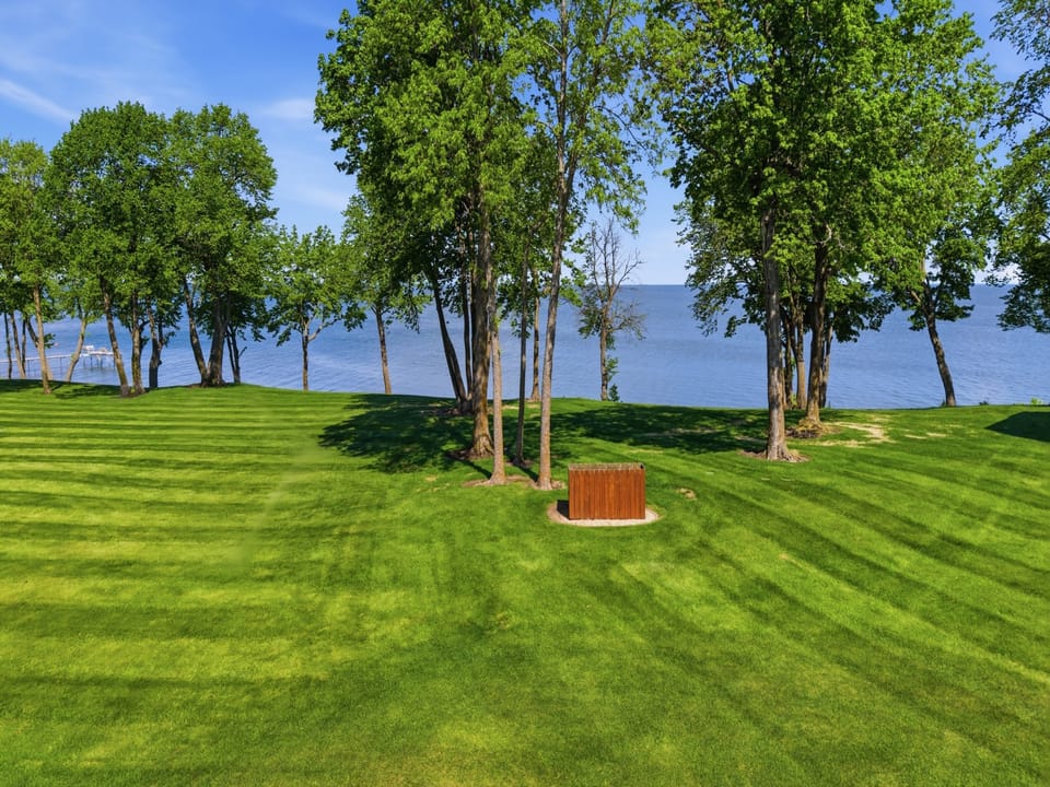 Grass