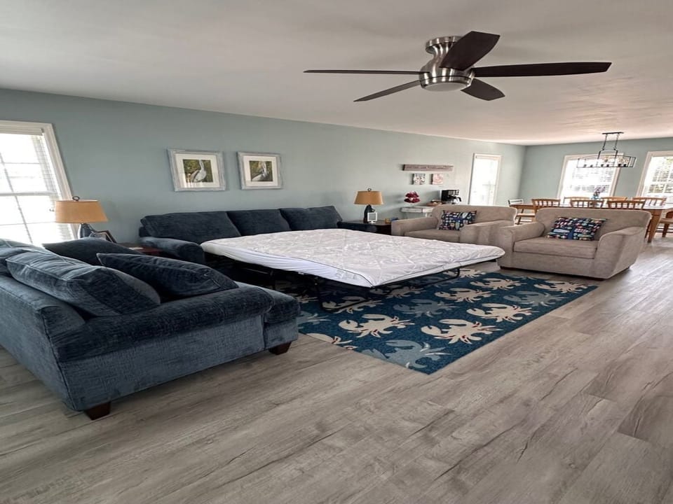 Lower Level Living Area With Queen Sofa Bed
