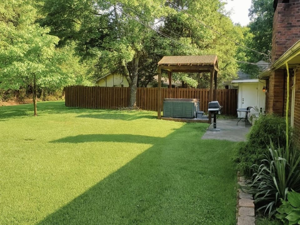 Backyard