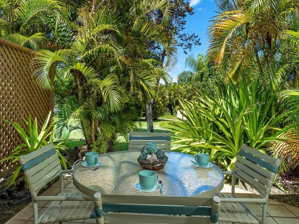A tranquil garden oasis surrounded by lush tropical palms and greenery, where mornings feel peaceful and afternoons invite quiet relaxation.