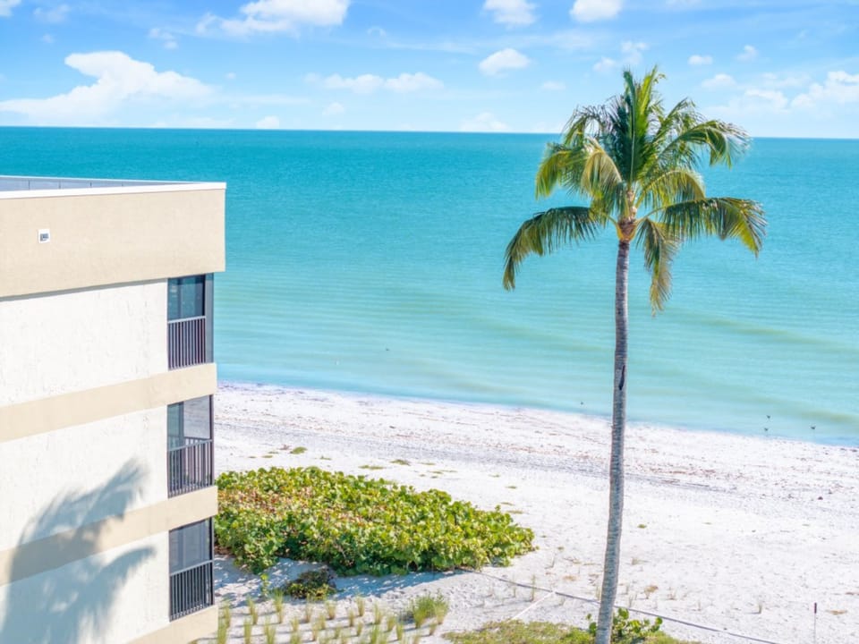 DJI_20251028111226_0289_D_SAP2023-Edit