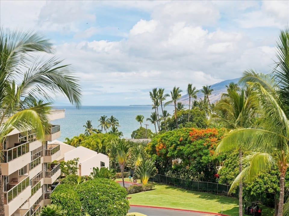 A Hawaiian paradise awaits with stunning ocean views framed by swaying palms and lush tropical gardens, your perfect island escape.