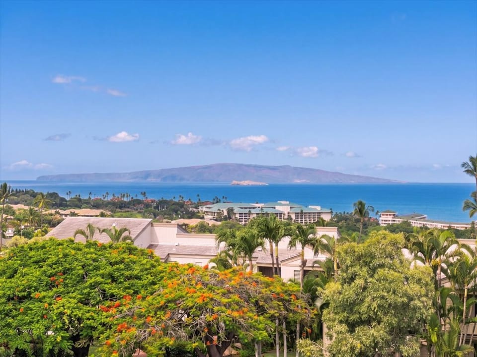 Stunning ocean views stretch toward distant islands, framed by lush tropical greenery. A serene Hawaiian backdrop sets the scene for your perfect island getaway.