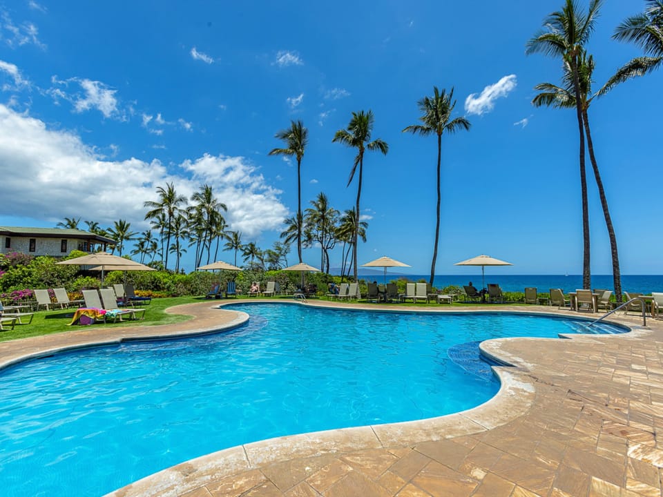 This stunning oceanfront pool offers a slice of tropical paradise, framed by towering palms and pristine blue waters stretching to the horizon on a beautiful day.