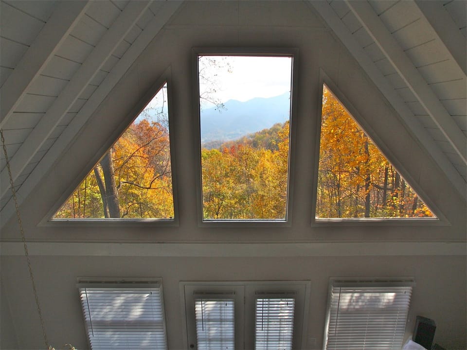 Window