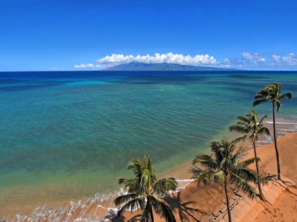 Tropical