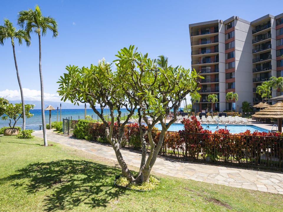 KaanapaliShores159-29