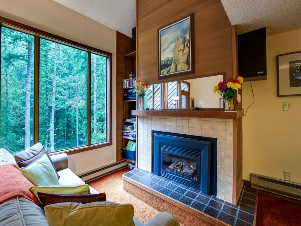Living room with cozy gas fireplace