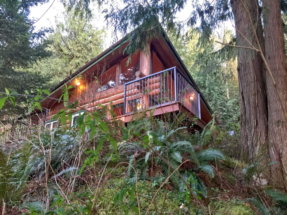 Beautiful deck overlooking Silver Lake