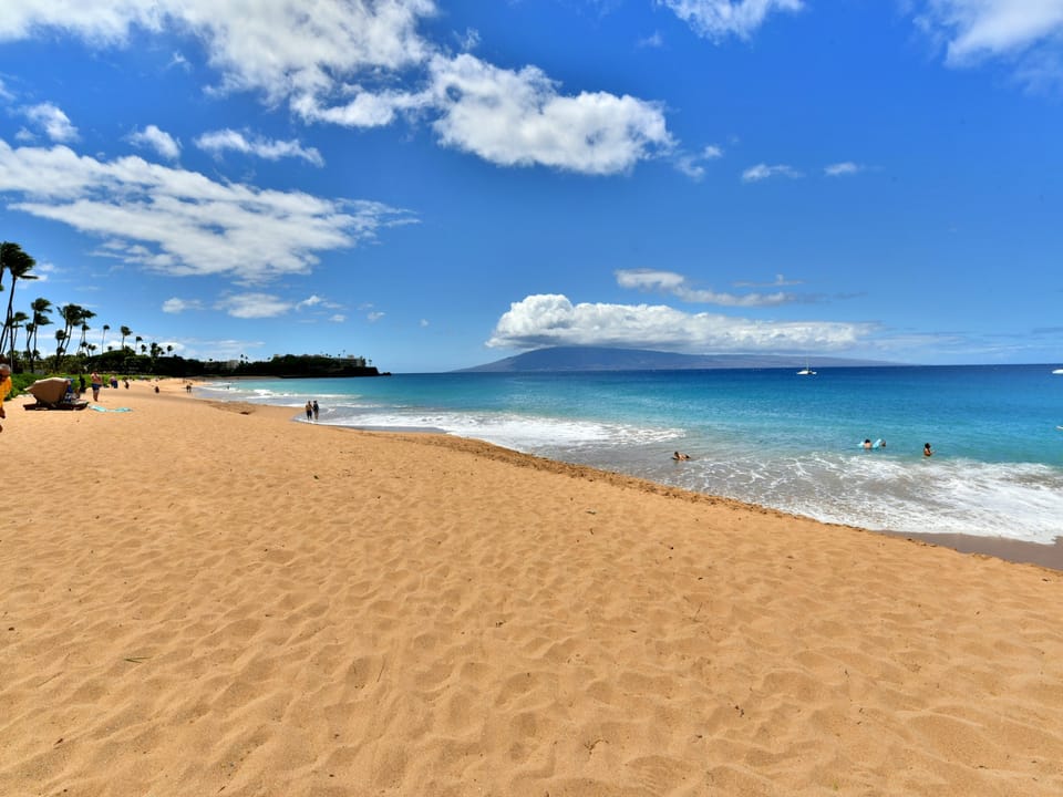 Sea
