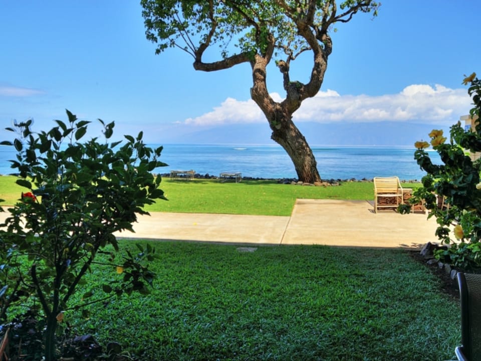 Kahana Reef #116 Apartment in Kahana