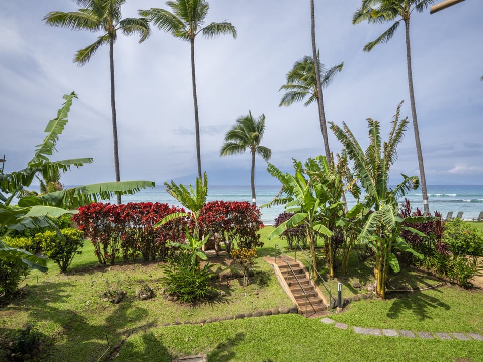 PakiMaui - 1 Bedroom - Ocean Front - 109 - View 02