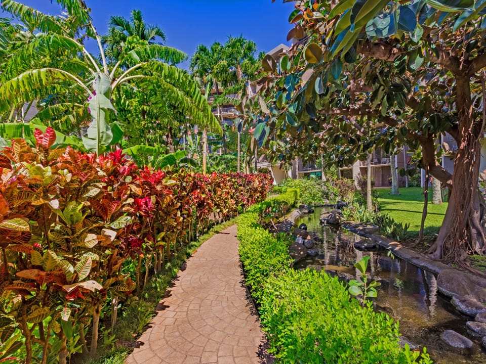 lush garden path ways