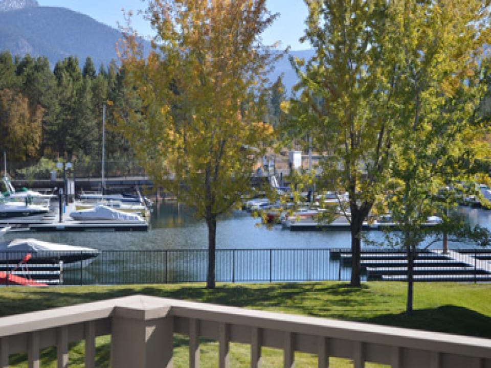 View of Docks