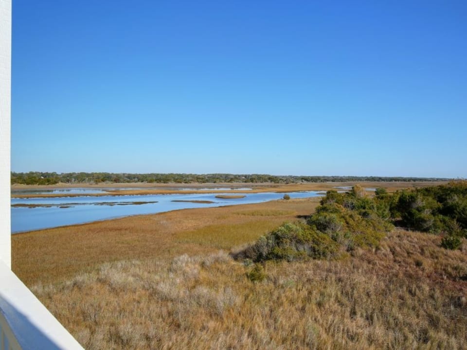Marsh View