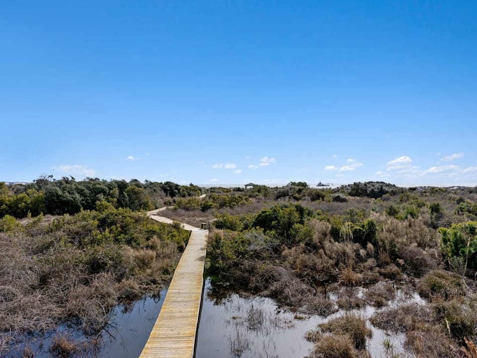Walkway to the Ocean