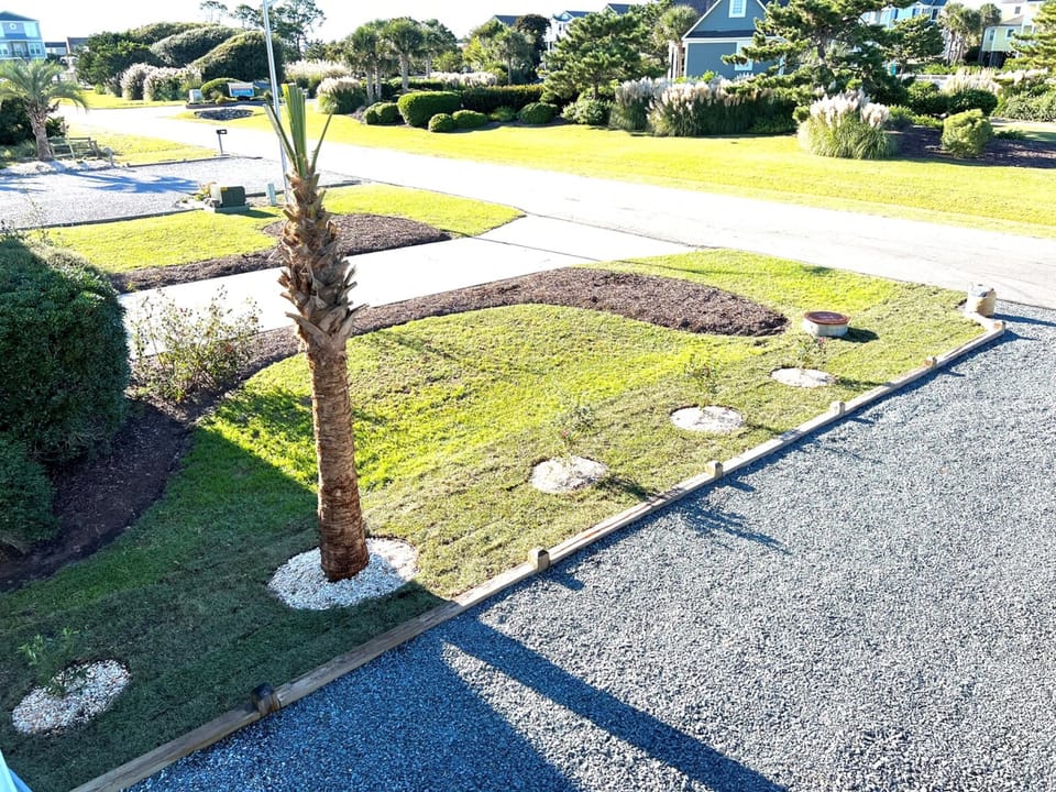 Front Yard View