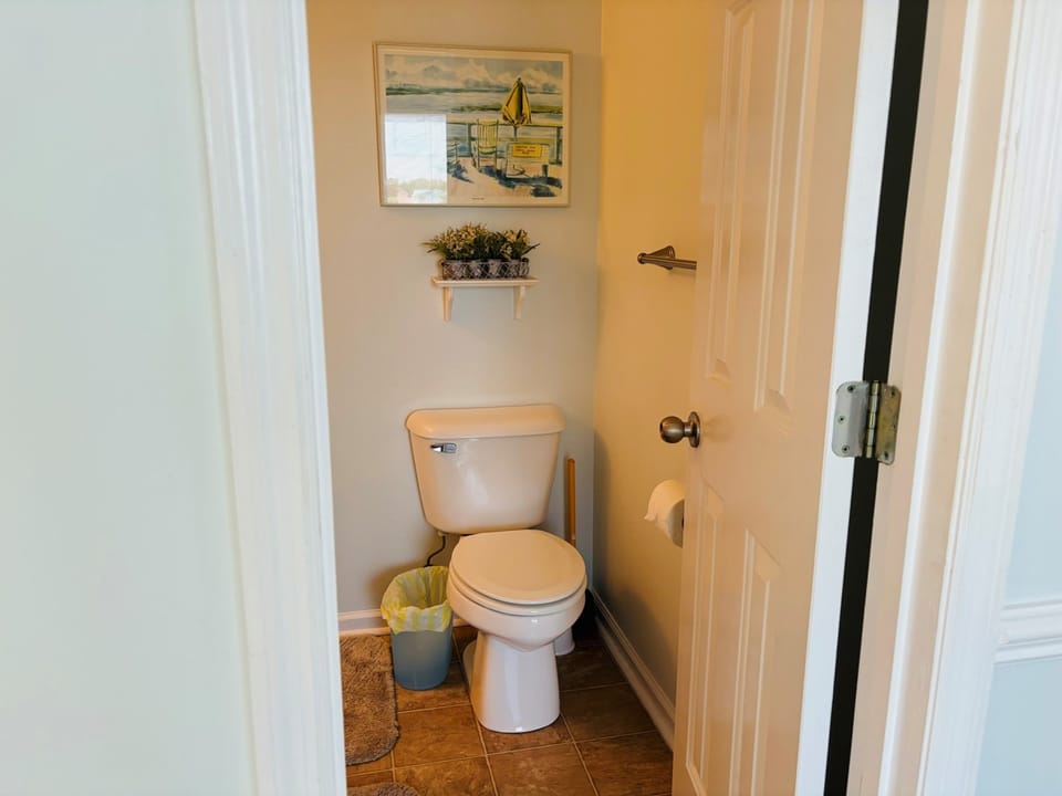 Lower Level Bath