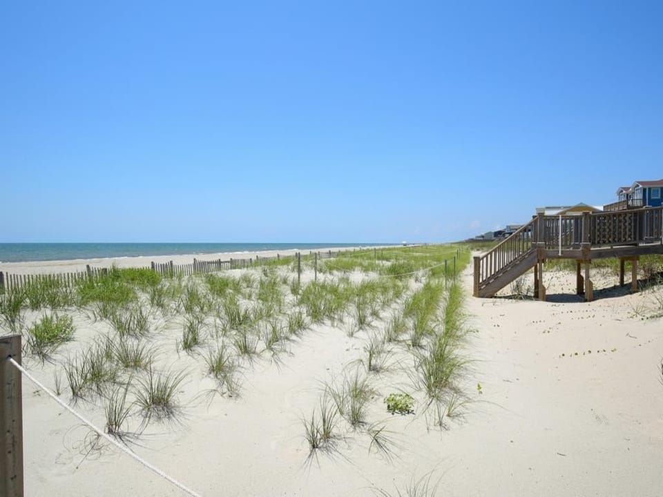 View of the Beach