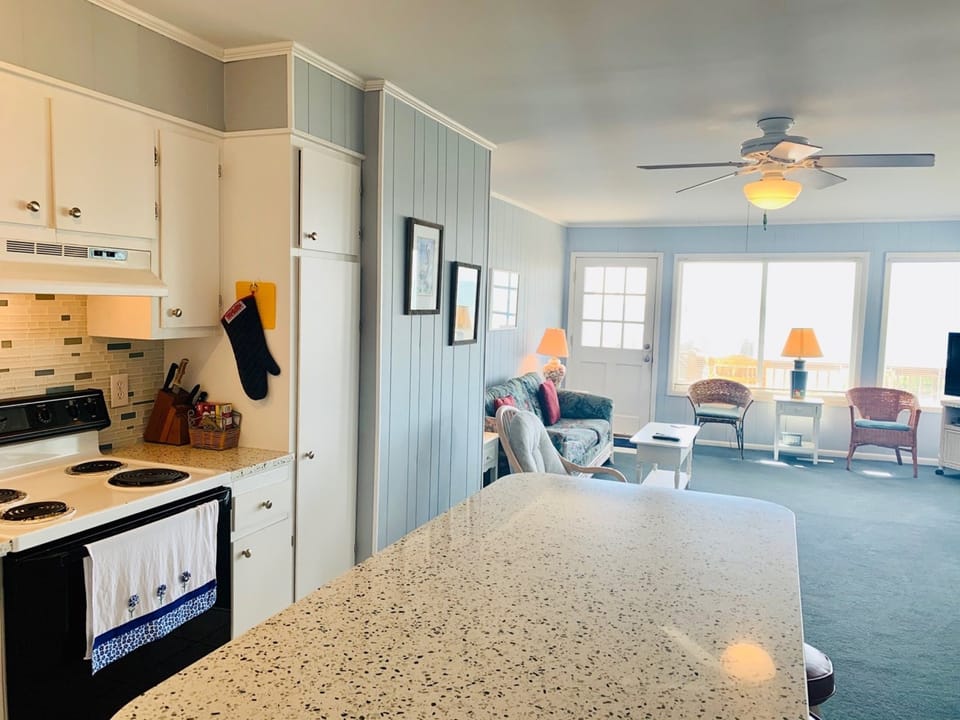 Kitchen and Living Area