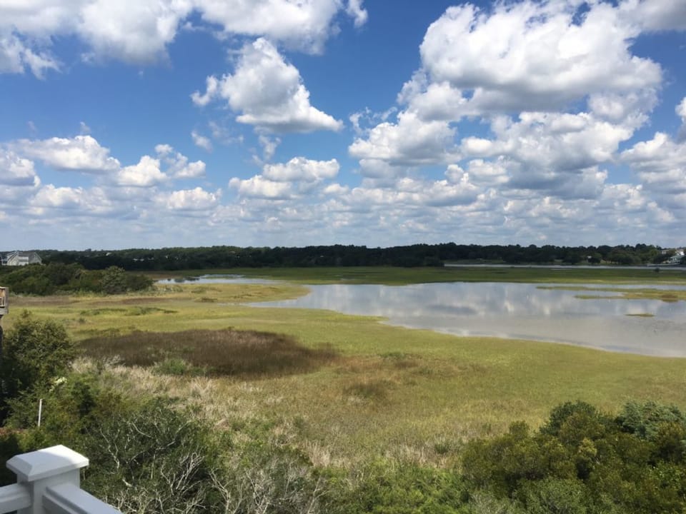 Marsh View