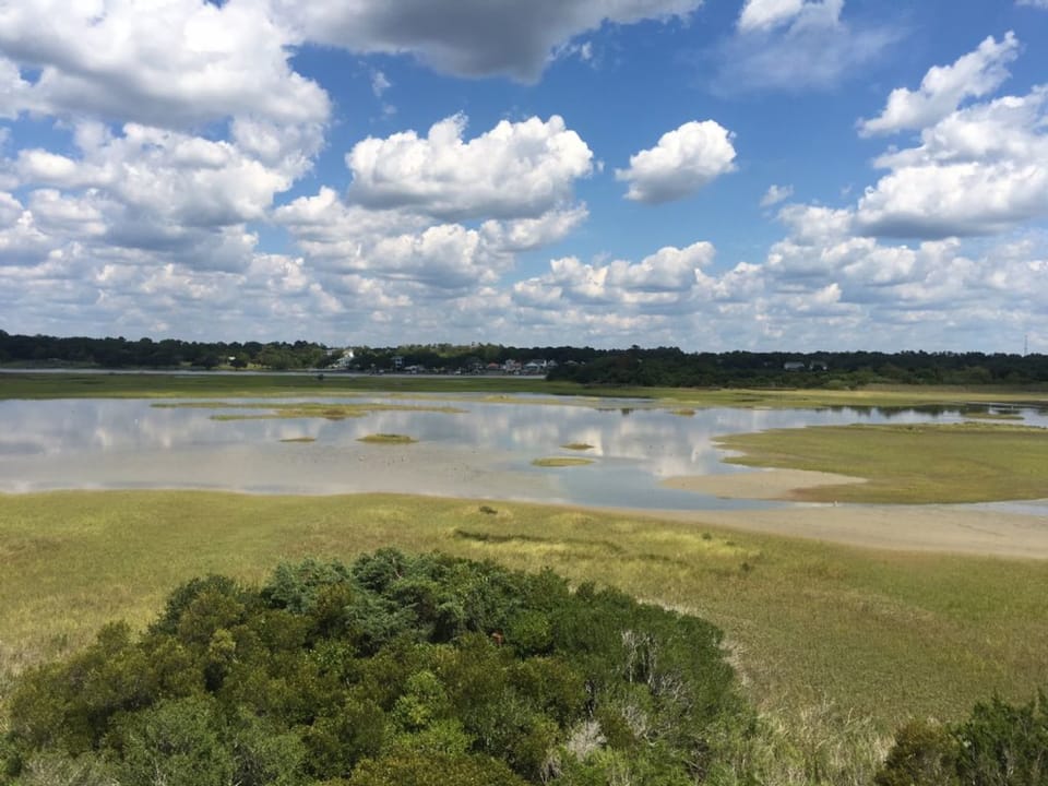Marsh View