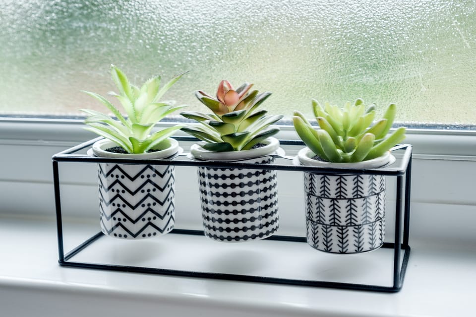 Cheerfull 3-Bedroom Home with parking & garden House in Oxford