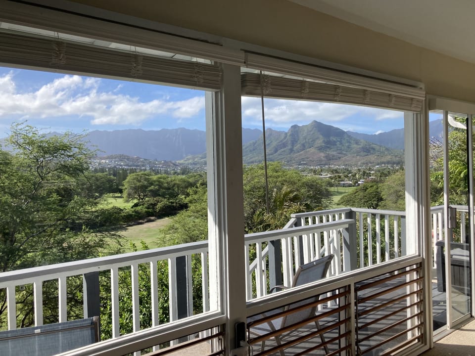 View taken from the studio with wall of glass windows with faux wood blinds.