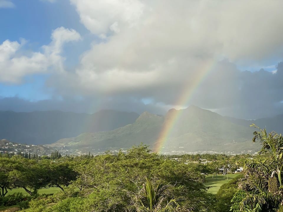 View from the studio.