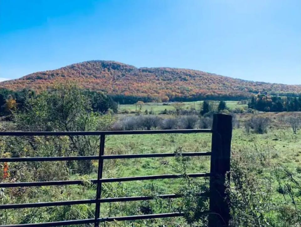 The Catskill Scenic Trail 