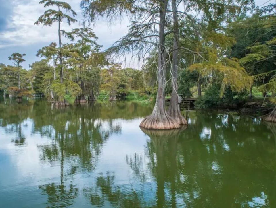 The view from the dock of peaceful Heron's Cove