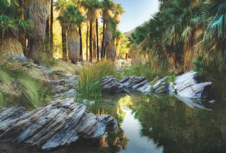 Embark on an enchanting journey along the Palm Canyon Trail, nestled within the breathtaking Indian Canyons in Palm Springs. This family-friendly, predominantly shaded 2-mile round trip takes you through a lush oasis of majestic California fan palms.