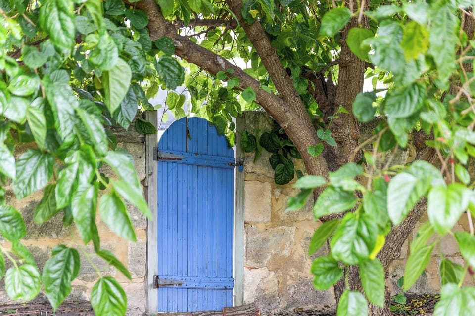 Back Gate