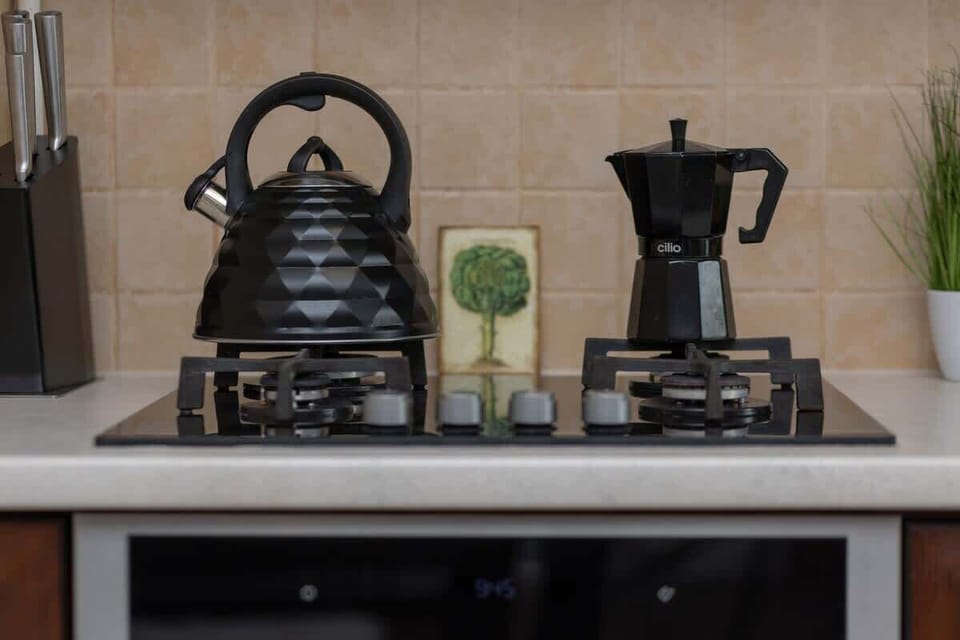 A close-up of a kitchen stove with a black teapot, a green plant, and a sleek cooktop.
