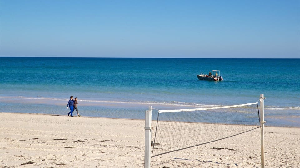 Beautiful Henley Beach just across the road!