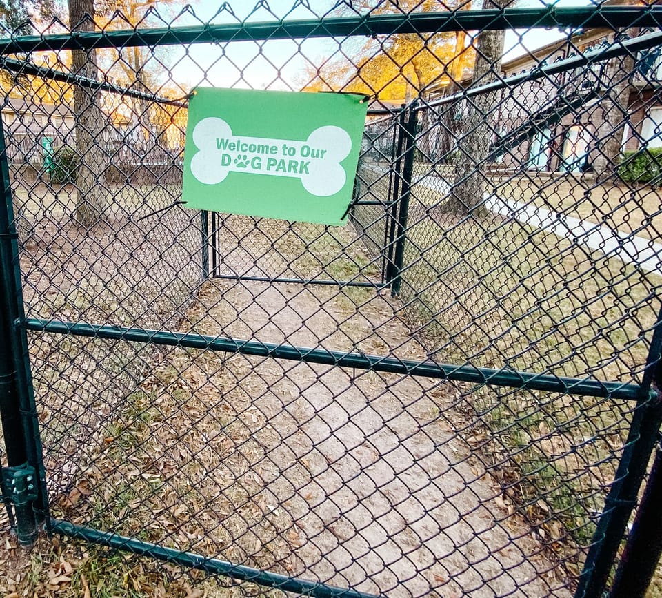 Dog area 