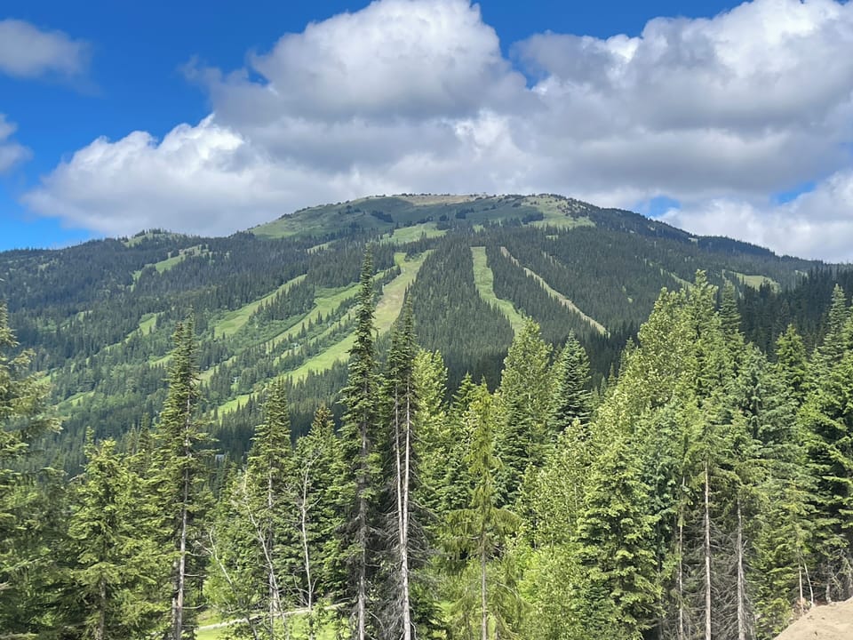 Zoomed in view of Mt. Tod from the patio in summer