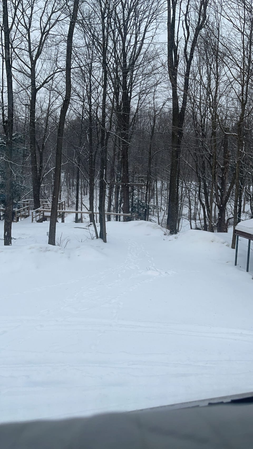 Snow and ski sports