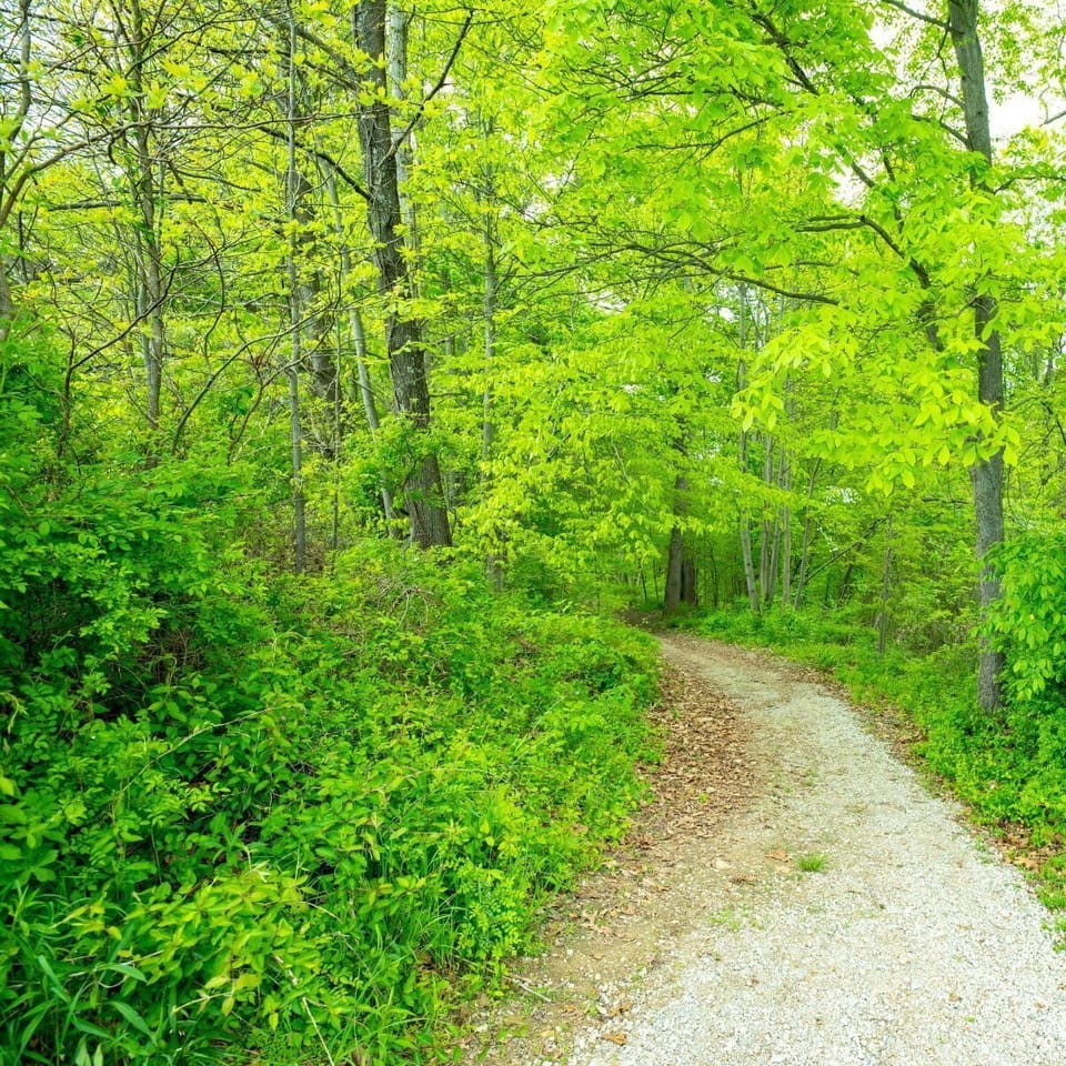 Nature trail