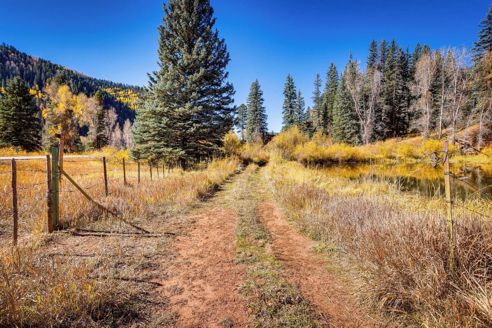 Parking | Driveway (6 Vehicles)