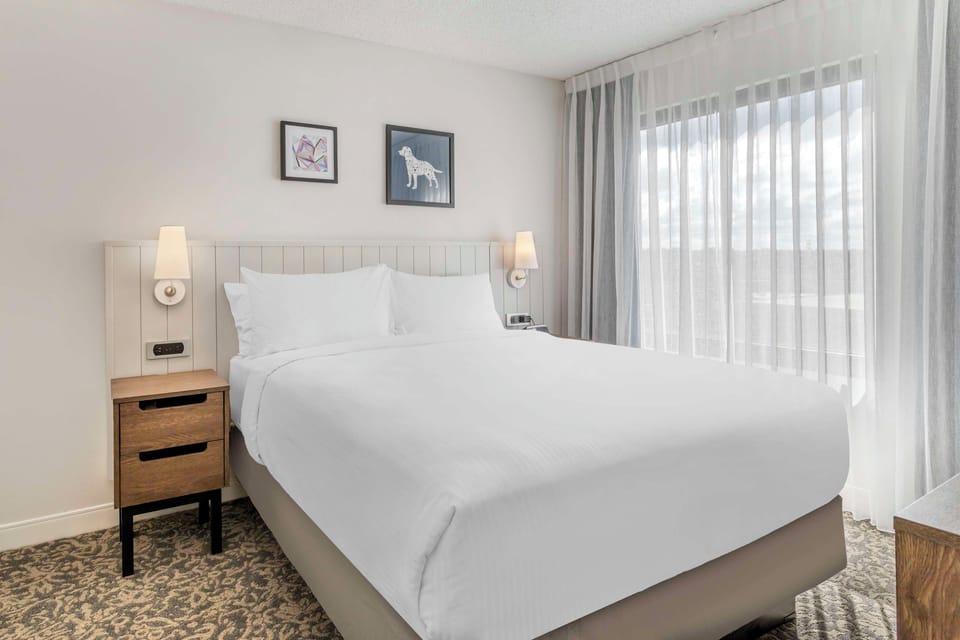 Recharge in a serene king room with soft, calming tones.