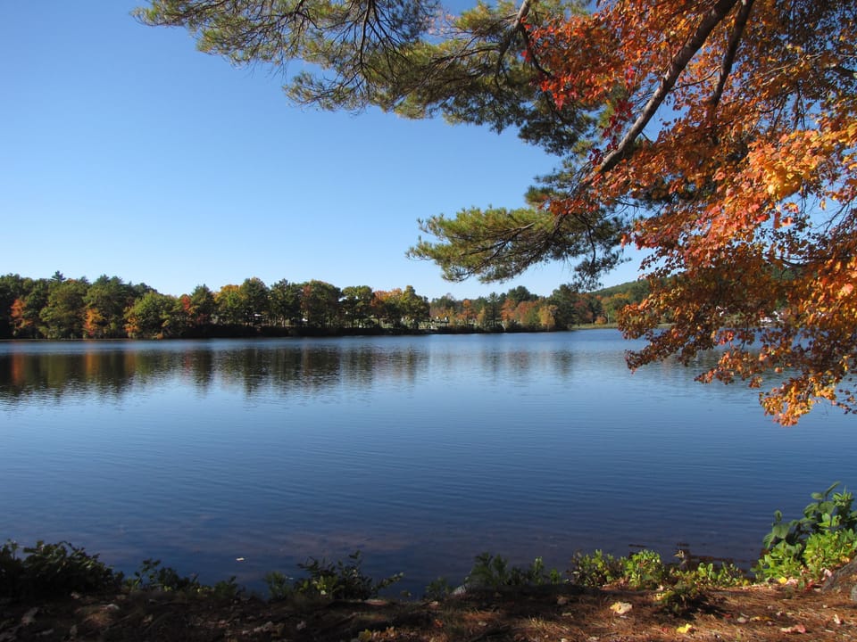 Sip coffee by the lake and watch autumn colors shimmer.