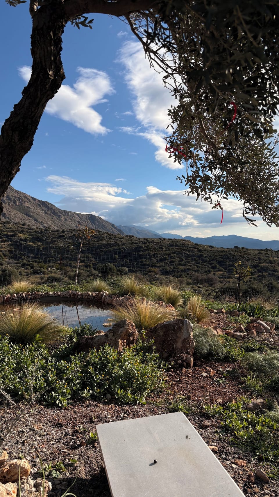 View from property